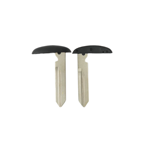 Penkių mygtukų rakto korpusas - skirtas Ford automobiliams